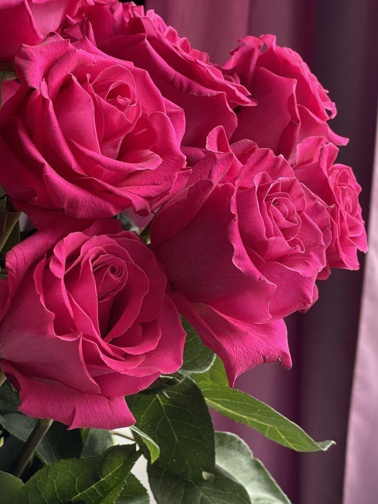 Celestial Harmony of Spring's First Blush Bouquet